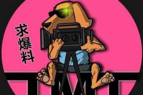 娱乐吃瓜女导演加戏,娱乐圈吃瓜群众热议幕后真相