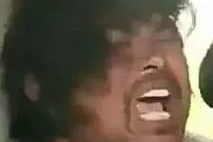 沙雕爽文吃瓜娱乐圈,吃瓜群众狂欢盛宴