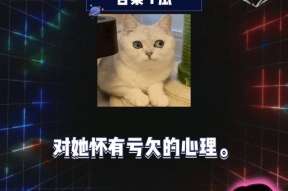 娱乐圈吃瓜游戏有哪些,揭秘明星幕后故事与娱乐八卦大揭秘