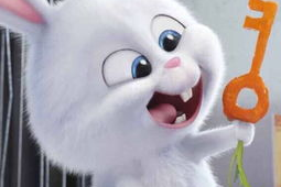 娱乐吃瓜酱兔圆圆,揭秘2023春晚吉祥物“兔圆圆”背后的故事