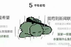 瓜哥娱乐吃鸡视频下载,带你领略刺激战场魅力