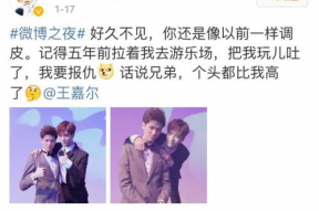 娱乐圈吃瓜双男主小说,瓜田里的甜蜜邂逅