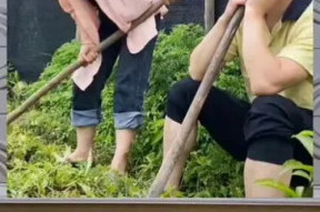 娱乐八卦是吃瓜群众的,娱乐八卦背后的狂欢与思考