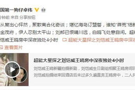 娱乐圈吃瓜爆料刘恺威,揭秘背后的真相与传闻