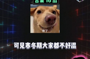 娱乐八卦开心吃瓜图片,跟随开心吃瓜，揭秘明星幕后故事