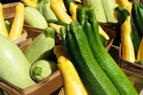 吃瓜娱乐营养,揭秘吃瓜娱乐的营养益处”