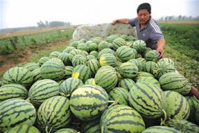 娱乐吃瓜居民,揭秘明星幕后故事