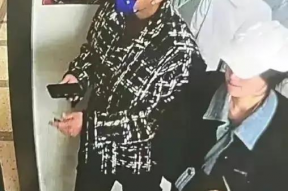 娱乐随拍吃瓜八卦,随拍吃瓜，八卦风云录