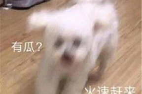 娱乐圈吃瓜微信聊天,微信聊天记录中的八卦风云