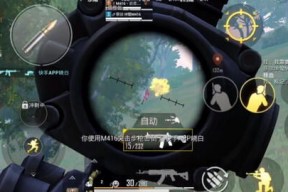 娱乐吃瓜bgm,揭秘娱乐圈幕后真相