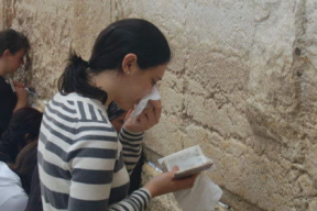 娱乐吃瓜君哥哥免费阅读,免费阅读带你畅游娱乐圈