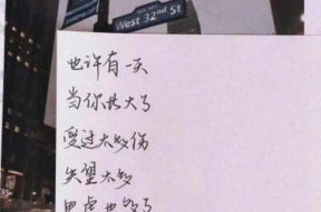 吃瓜娱乐文案句子摘抄,吃瓜文案摘抄集锦