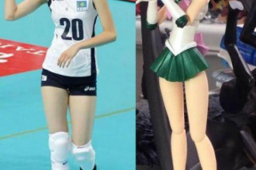 娱乐吃瓜酱排球,轻松入门的排球运动体验