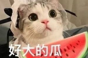 娱乐吃瓜酱黏人的女朋友,如何平衡爱情与个人空间