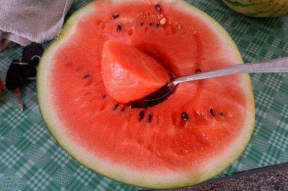 娱乐吃瓜资料来源于什么,揭秘娱乐圈吃瓜资料的来源与传播