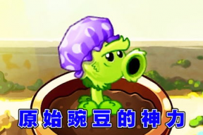 娱乐吃瓜酱豌豆射手,揭秘娱乐圈那些不为人知的幕后故事